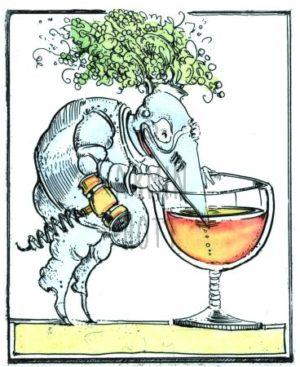 Armin Hott - Riesling-Ritter