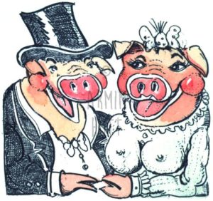 Armin Hott - SchweineGlueck