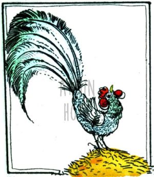 Armin Hott - KleinerGockel