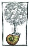 Armin Hott - Schnecken-Baum