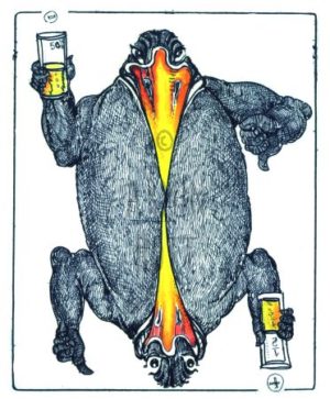 Armin Hott - Halb-Leer-Halb-Voll