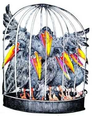 Armin Hott - RabenKaefig