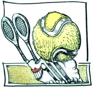 Armin Hott - Tennis-Schneckel