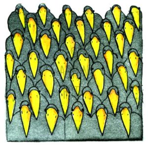 Armin Hott - DasTeam