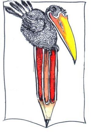 Armin Hott - Obenauf