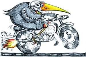 Armin Hott - Motor-Rab