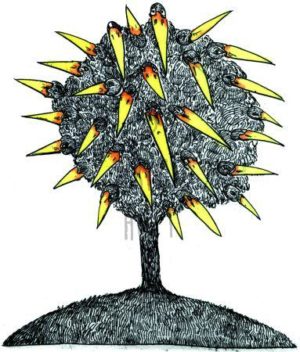 Armin Hott - Rabenbaeumchen