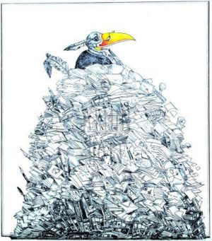 Armin Hott - KingoftheHill